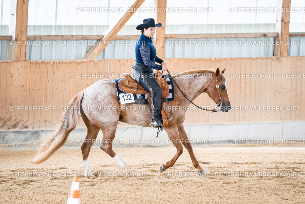 DSC01997 | Pferdegrafie