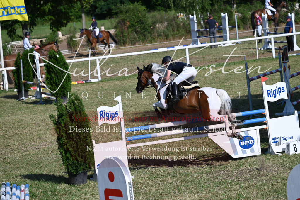 DSC_2405 | Pferde- und Turnierfotografie in Westsachsen. Pferdeportraits, Auftragszeichnungen und intuitive Kunst.