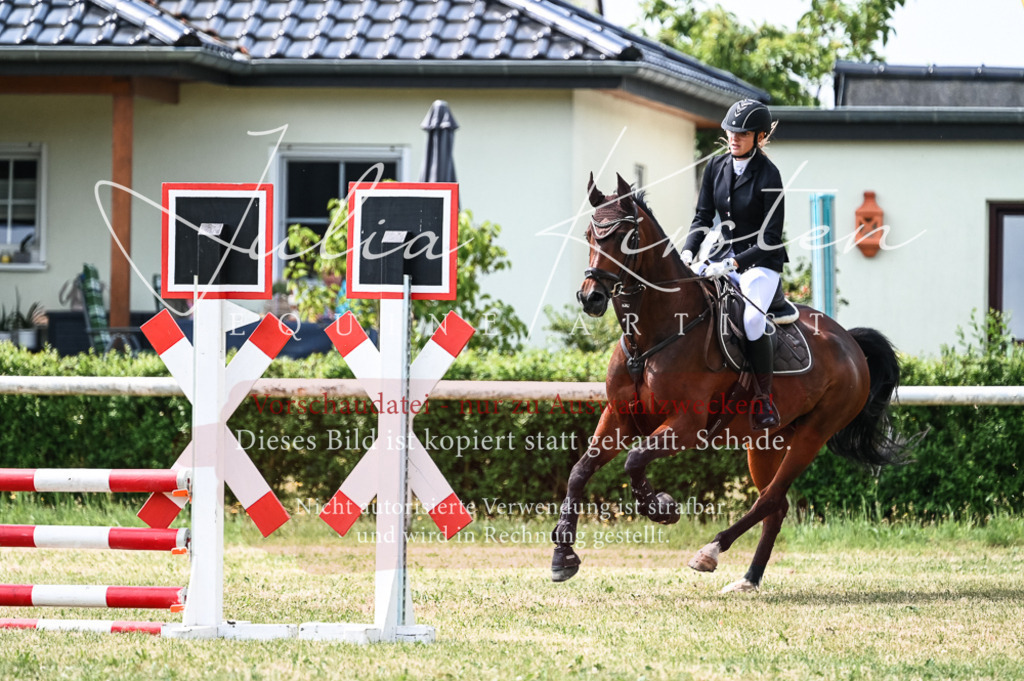 DSC_9035 | Pferde- und Turnierfotografie in Westsachsen. Pferdeportraits, Auftragszeichnungen und intuitive Kunst.