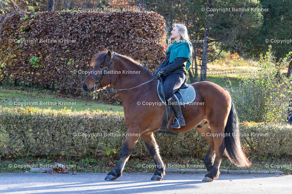 LL24-178 | foto-bettina-krinner - Realisiert mit Pictrs.com