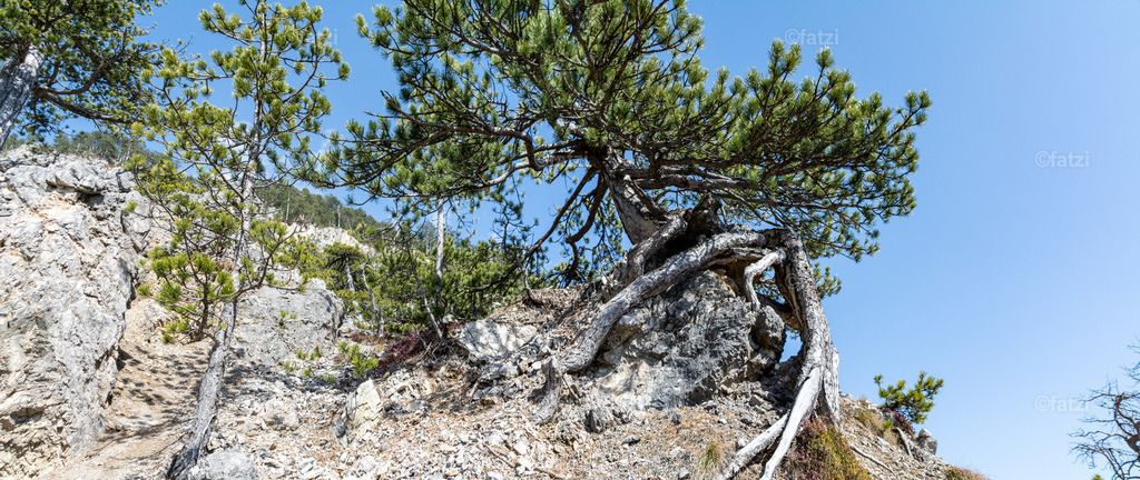 Dobr Hochwald_134931Buchriegel-Panorama-k | Fatzi Bilder-Archiv! 
Die Bilder sind für private Nutzung lizenzfrei. Die kommerzielle Nutzung ist möglich und erwünscht, jedoch bitte ich um vorherige Kontaktaufnahme per E-Mail (info@fatzi.at) oder unter +43 650 7828269 - Realisiert mit Pictrs.com