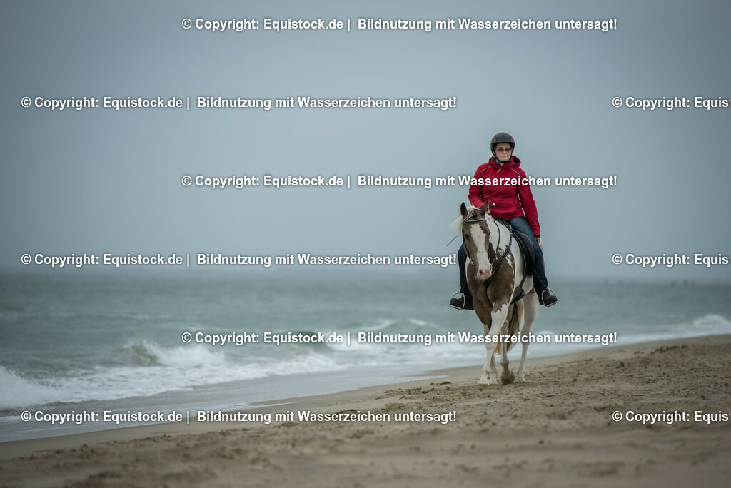 TS_20160929_Strandritt_0001 | Foto: Thomas Hartig