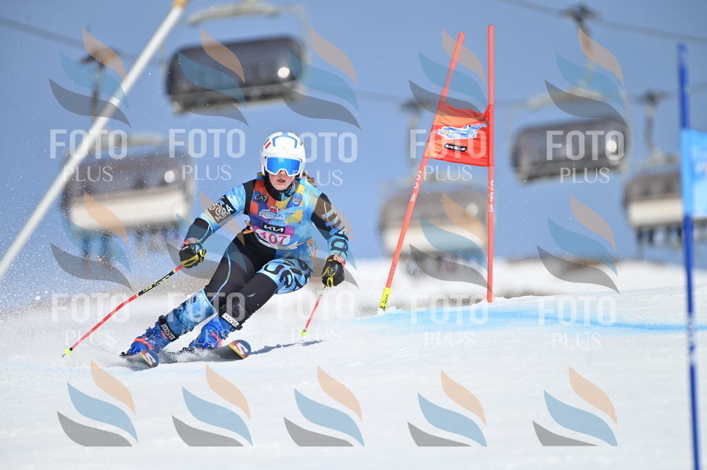 BGV_9578 | holidayphoto