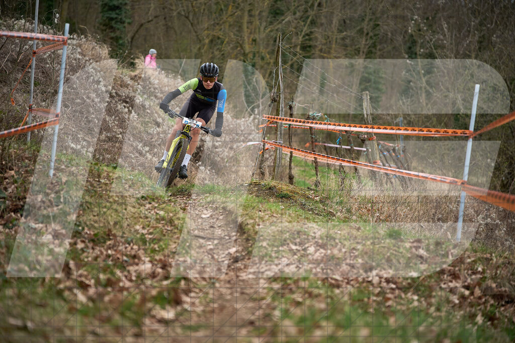 34. KTM Kamptal Trophy  | ZÖBING, Österreich – 2026-03-28: 34. KTM Kamptal TrophyFoto: © 2026 Martin Bihounek - MB Creative e.U.