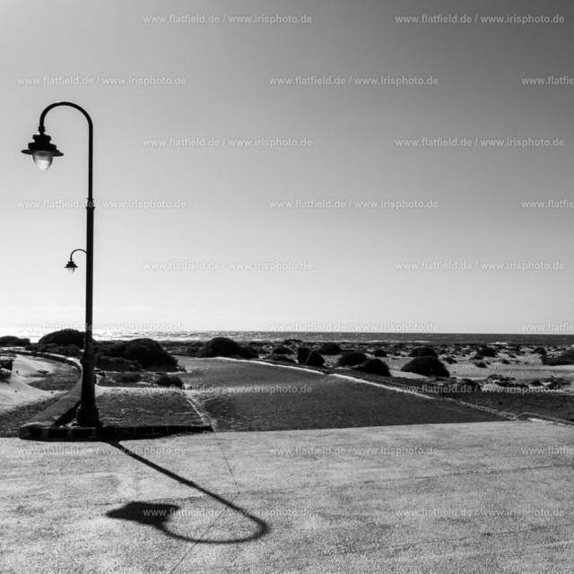 Schattenlamoe am Meer | Gesehen auf Lanzarote