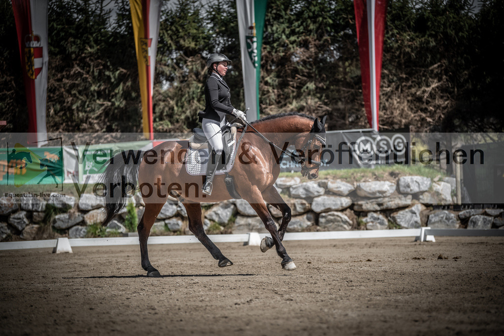DSC_0484 | equestrian-live-com