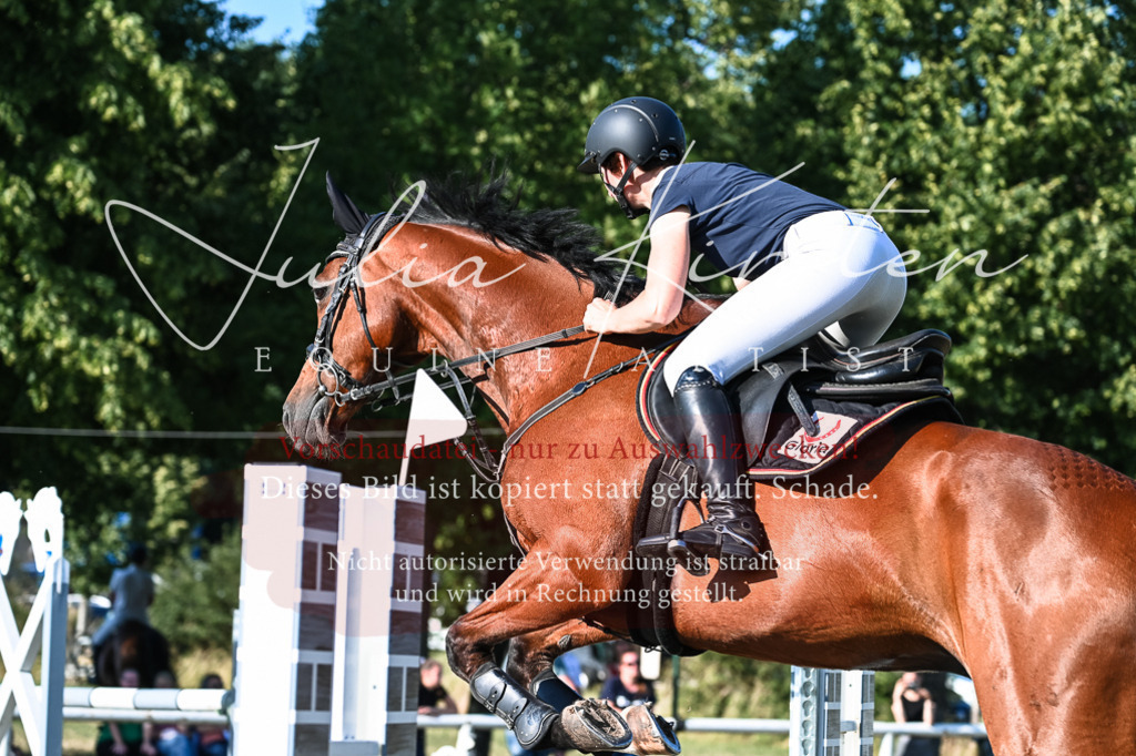 DSC_2694 | Pferde- und Turnierfotografie in Westsachsen. Pferdeportraits, Auftragszeichnungen und intuitive Kunst.