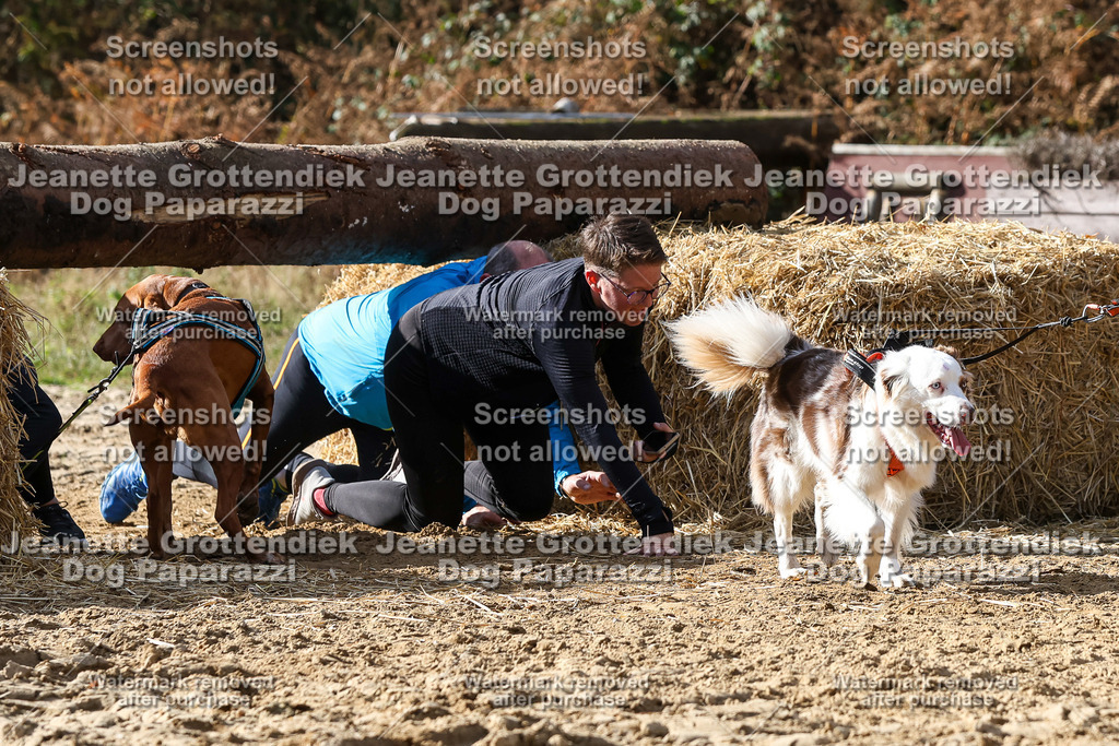 Dog Paparazzi - Strongdog 10-25-5646 | Dog Paparazzi Jeanette Grottendiek Fotografie & Videografie - Realisiert mit Pictrs.com