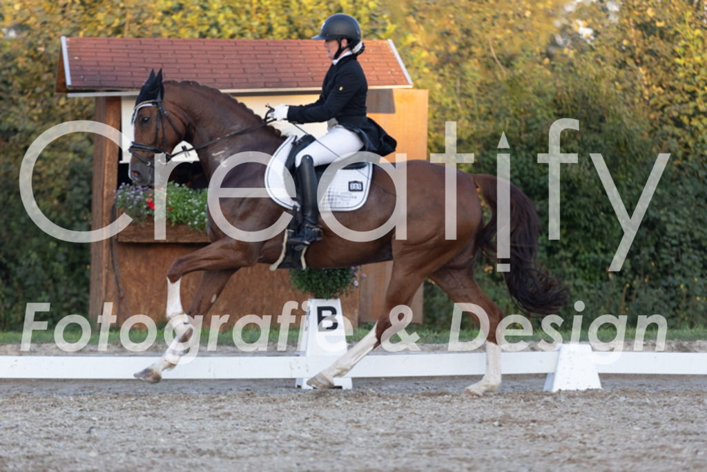 IMG_1906 | Creatify Fotografie