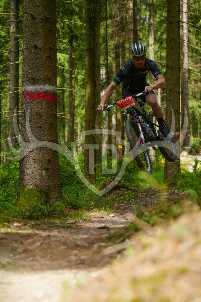 FC603677 | Fotogalerie der Treibjagd im Dunkelwald - Dein MTB Etappenrennen im Erzgebirge - Realisiert mit Pictrs.com
