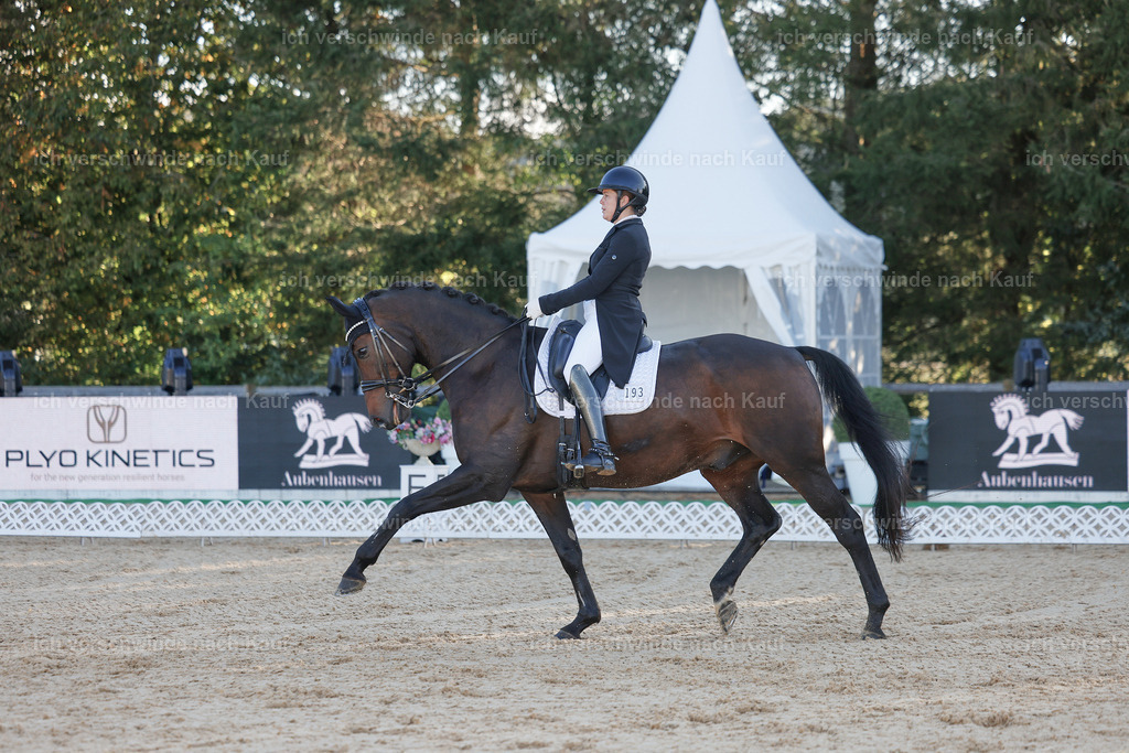 09_1-193-DRESSUR  S_  -StoibPH-5479 | working equitationturnier fotograf videograf stoibphotography marixx film working equitation deutschland reitsport turnierfotografie eventfotografie equestrian events