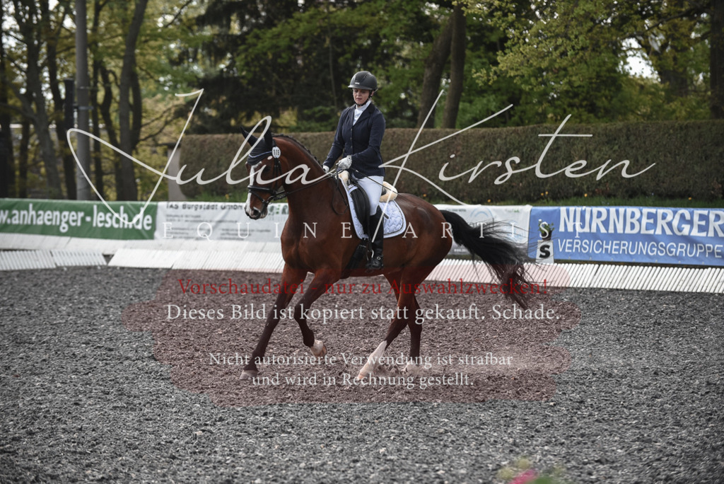 20230513_JK-Röhrsdorf-14-655 | Pferde- und Turnierfotografie in Westsachsen. Pferdeportraits, Auftragszeichnungen und intuitive Kunst.