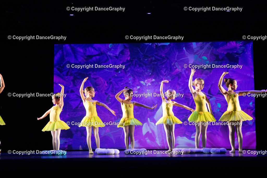 GPHY6249 | DanceGraphy - Realisiert mit Pictrs.com