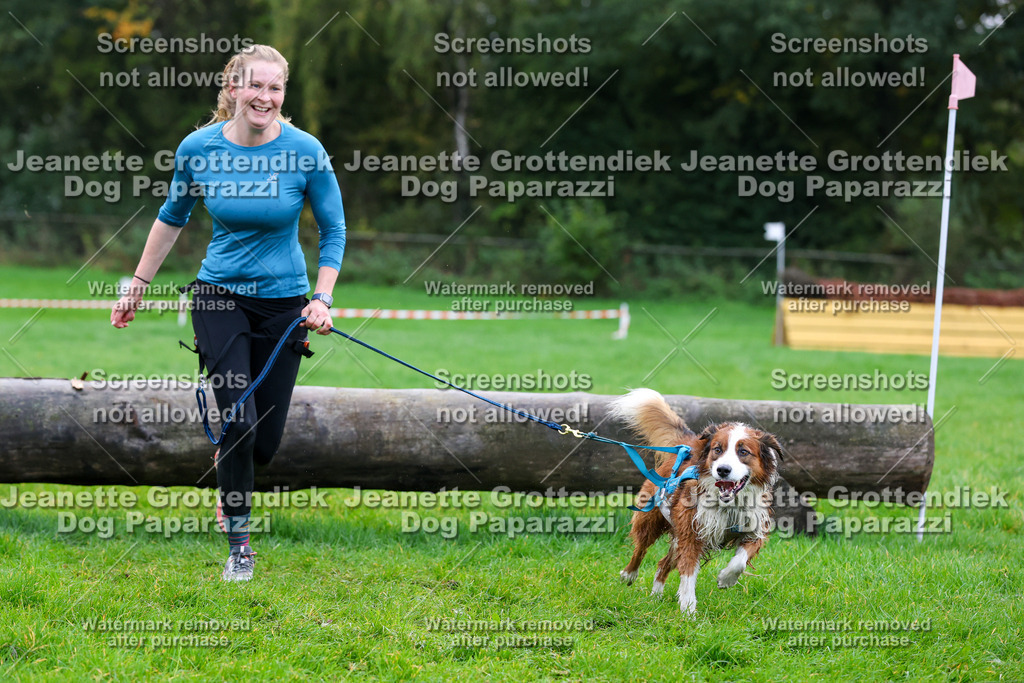 Dog Paparazzi -  SD1026-954 | Dog Paparazzi Jeanette Grottendiek Fotografie & Videografie - Realisiert mit Pictrs.com