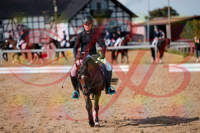 2026_10_03_Siefer-Hof_121102_Z63_38936149 | Professionelle Reitsport-, Turnier- und Eventfotografie von Robert Broda. Galerien mit ausgewählten und bearbeiteten Bildern direkt online ansehen und bestellen.