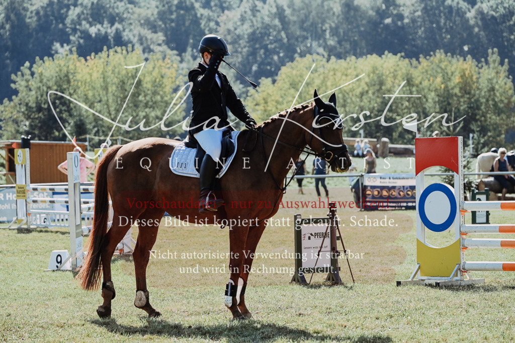 DSC_5446 | Pferde- und Turnierfotografie in Westsachsen. Pferdeportraits, Auftragszeichnungen und intuitive Kunst.