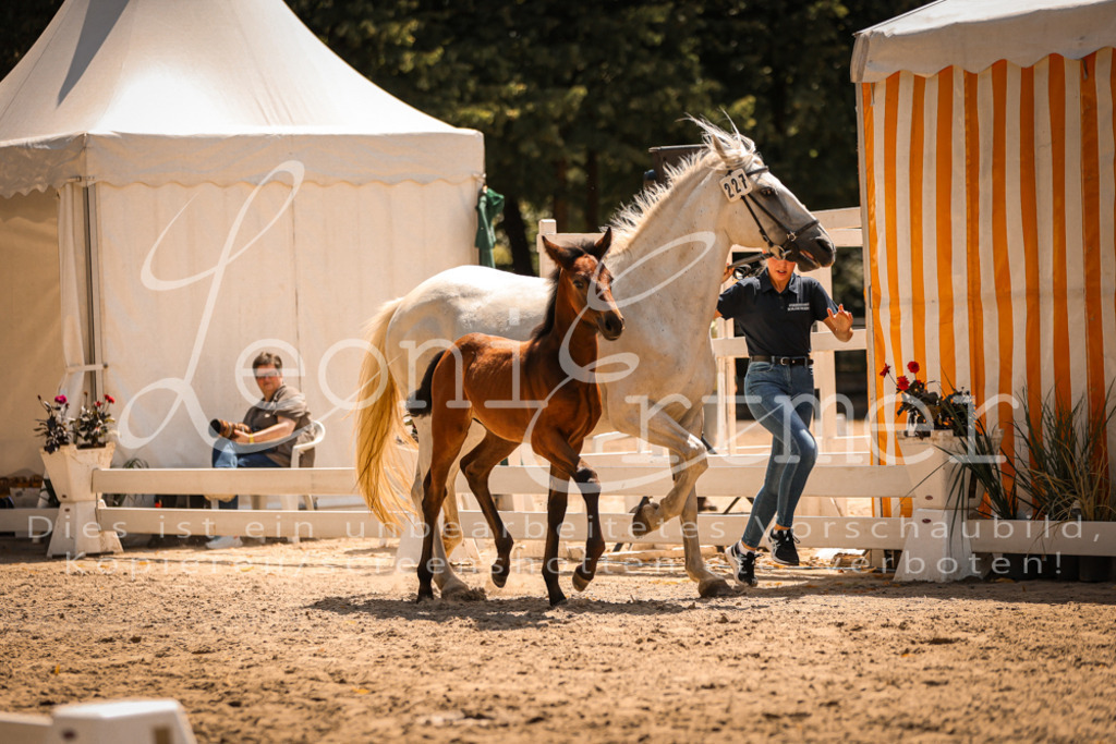 03.DoAB00041 | Leoni Ertmer Photography - Realisiert mit Pictrs.com