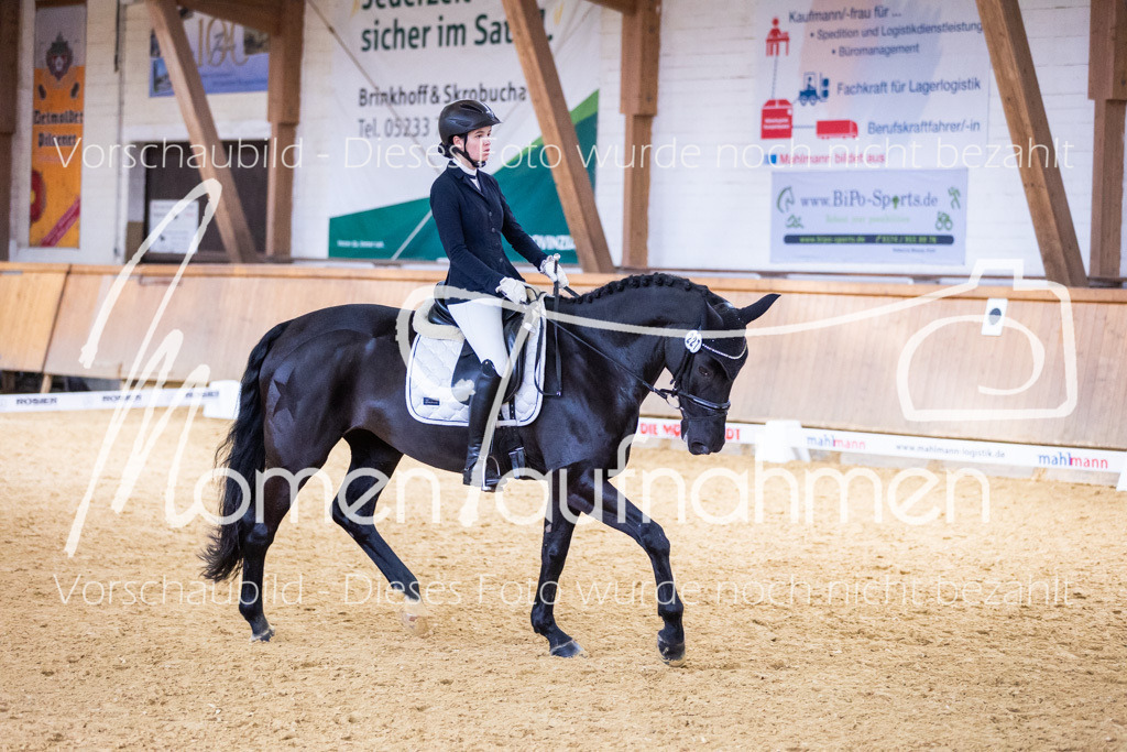 Sth-A-Dre-2St-111 | MomenTaufnahmen Pferdesportfotos