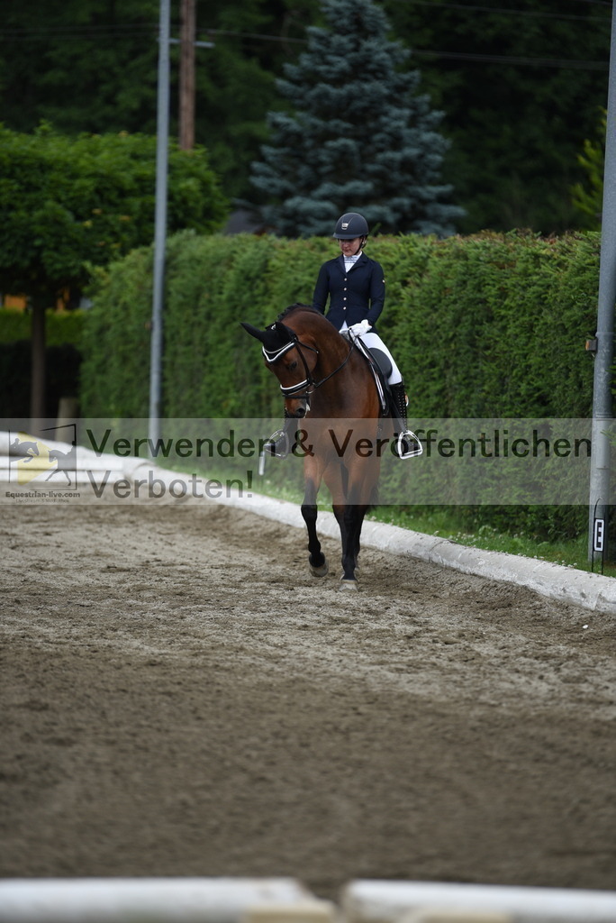 DSC_4218 | equestrian-live-com