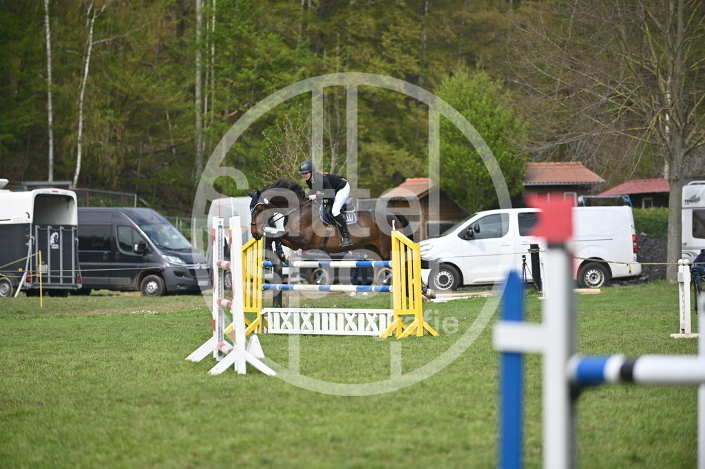 DSC_3844 | sattelsport - Realisiert mit Pictrs.com