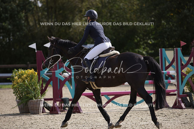 1J2A3511Freya Sophie Langhans_ Comme Toi_ Kn260_ Havekost | Foto- und Videografie für alles rund ums Pferd. Hochwertige Bilder und Videos vom Spring- und Dressurreiten, Voltigieren & mehr. Jetzt aktuelle Veranstaltungen und Preise im Shop ansehen. - Realisiert mit Pictrs.com