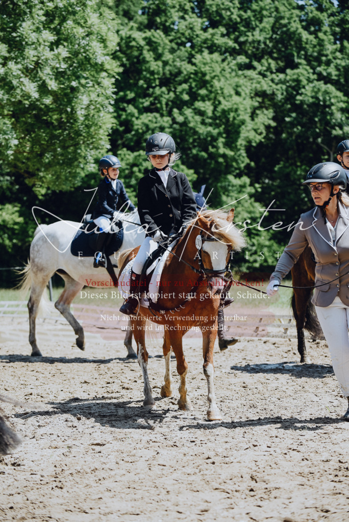 DSC_2362 | Pferde- und Turnierfotografie in Westsachsen. Pferdeportraits, Auftragszeichnungen und intuitive Kunst.