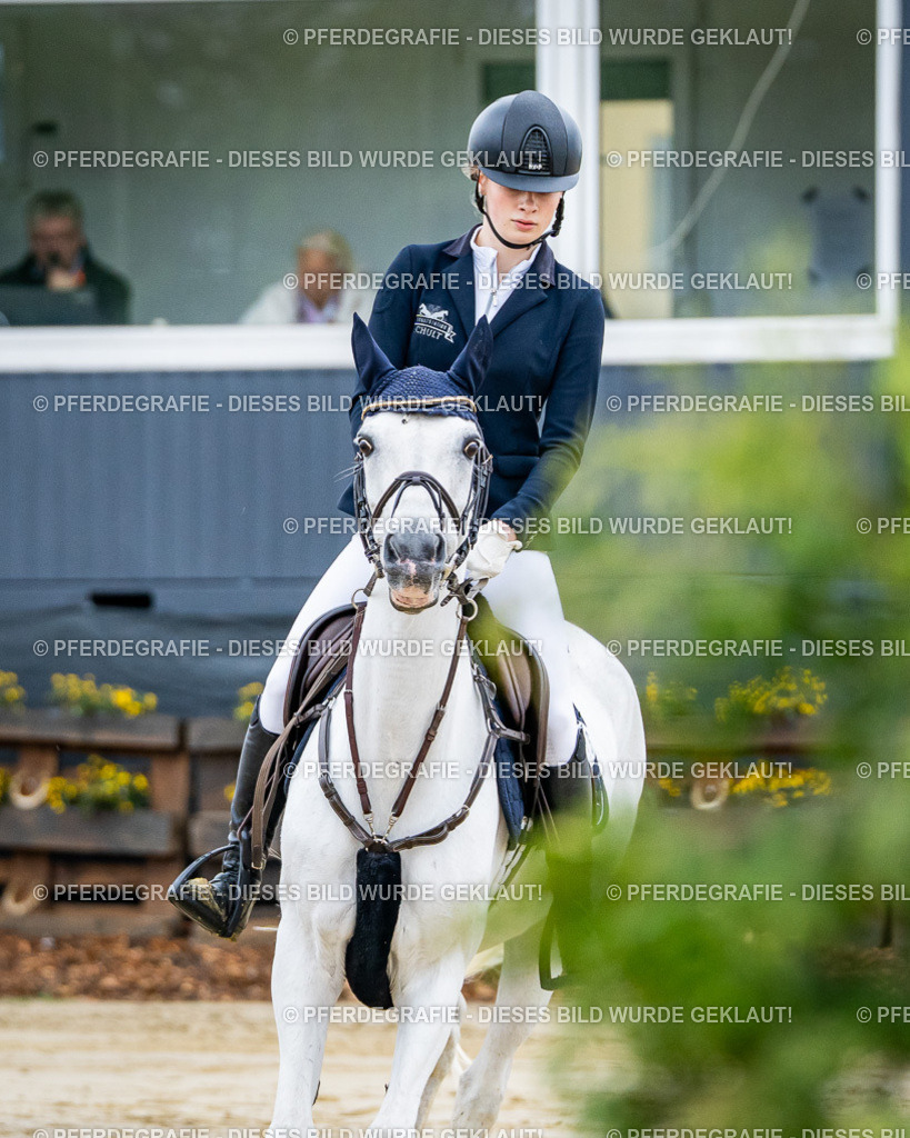 DSC01671 | Pferdegrafie