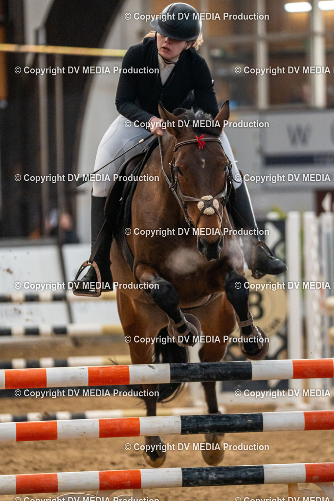 Kranichstein Tag 2-296 | dv-media-shop - Realisiert mit Pictrs.com