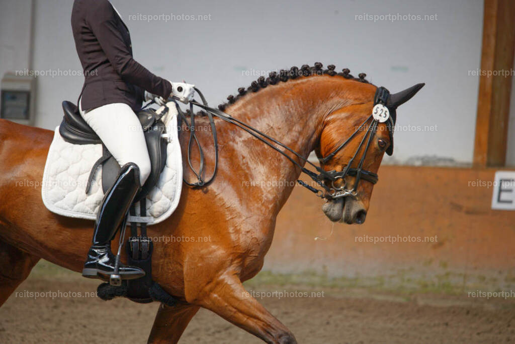 JHE_1770 | JoYa Fotografie - Realisiert mit Pictrs.com