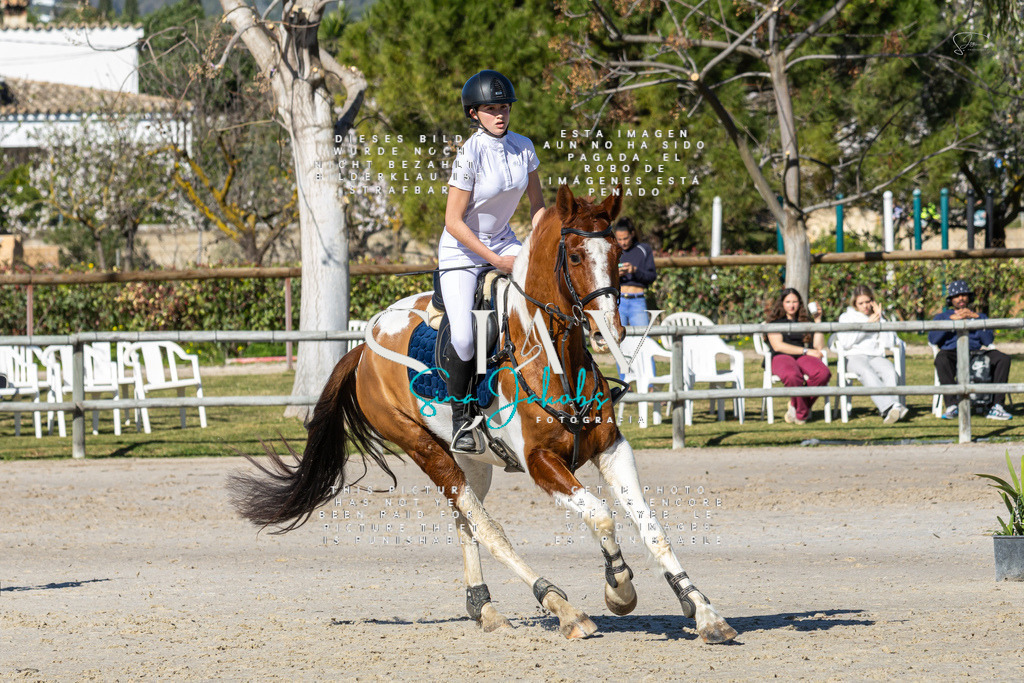 IMG_8393 | s-jay-photography - Realisiert mit Pictrs.com