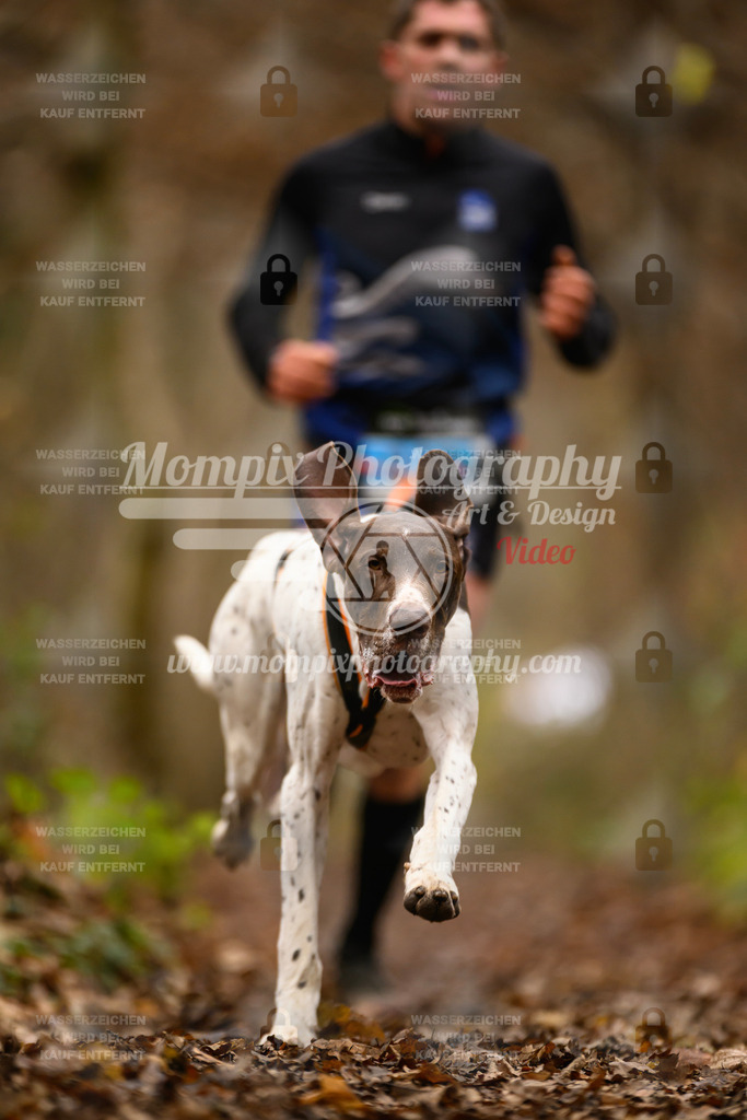 MompixPhotography_Eschau2024_CCC-6 | PayLife
