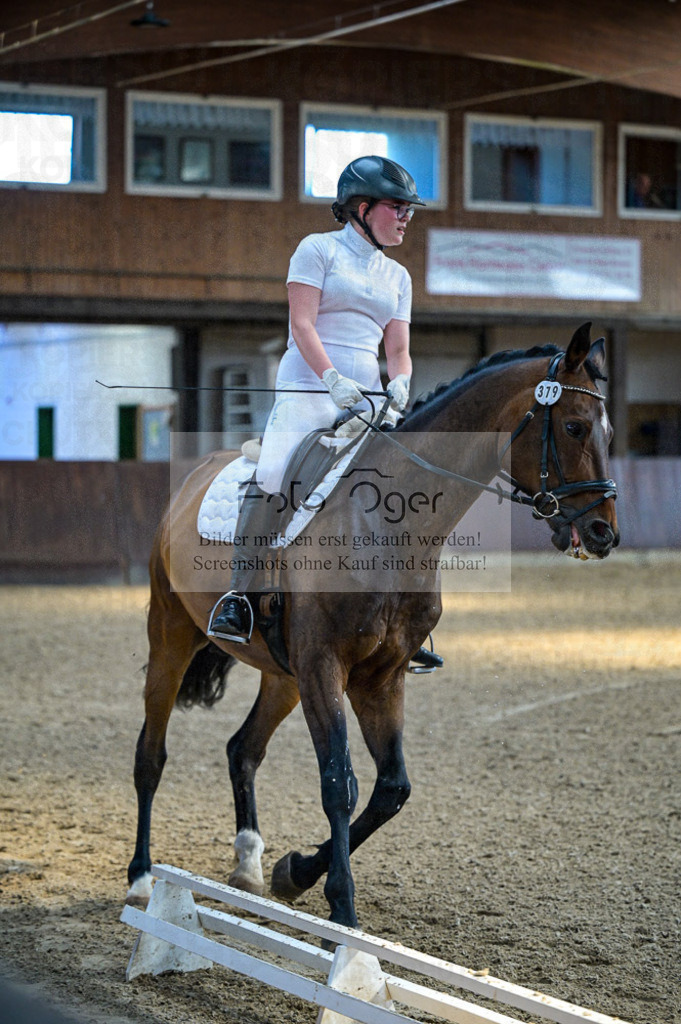 Reitturnier Voxtrup | Entdecke hochwertige Reitturnierfotos von Foto Oger. Professionell, emotional und authentisch – jetzt Lieblingsmomente im Shop bestellen.Deutschlandweite Turnierfotografie. - Realized with Pictrs.com