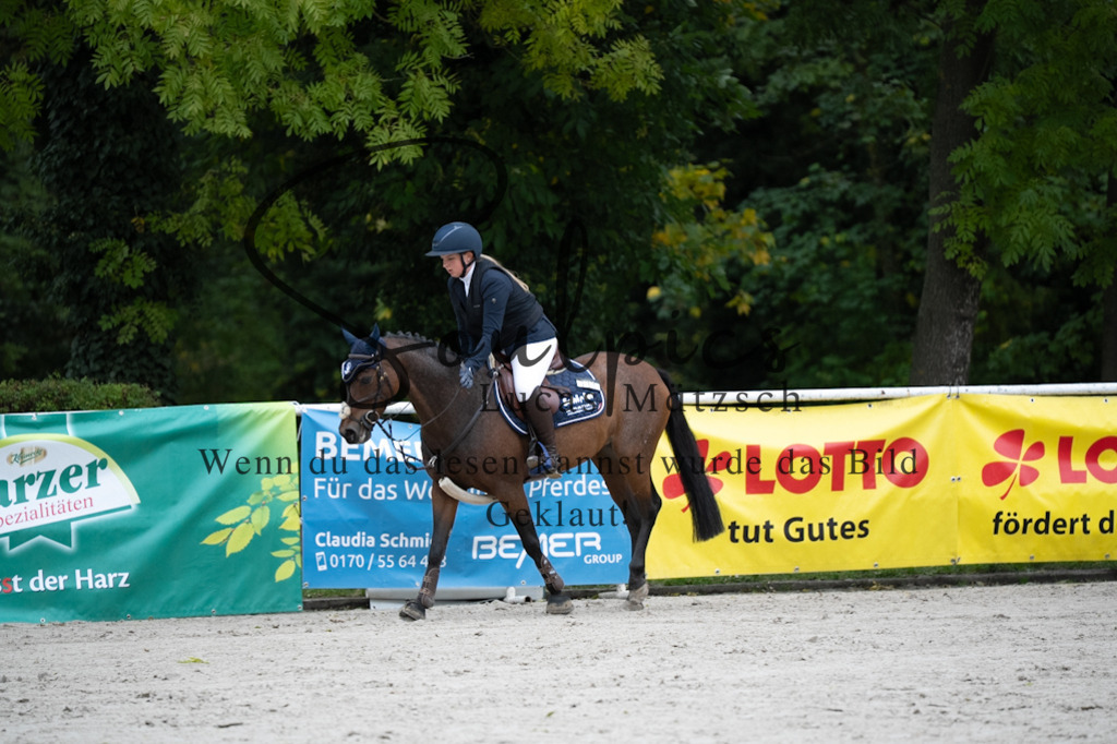 A7V08481 | Pferdefotograf