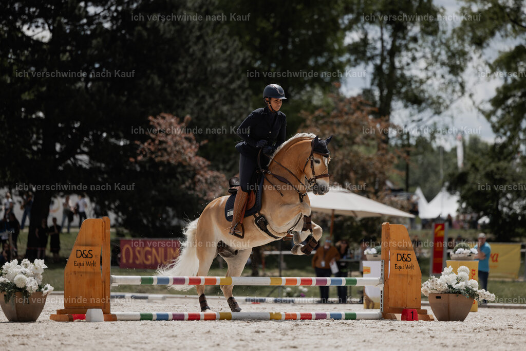 WE_ST_Stoib_308_PI2025_1408 | 330Pferd International München 2025