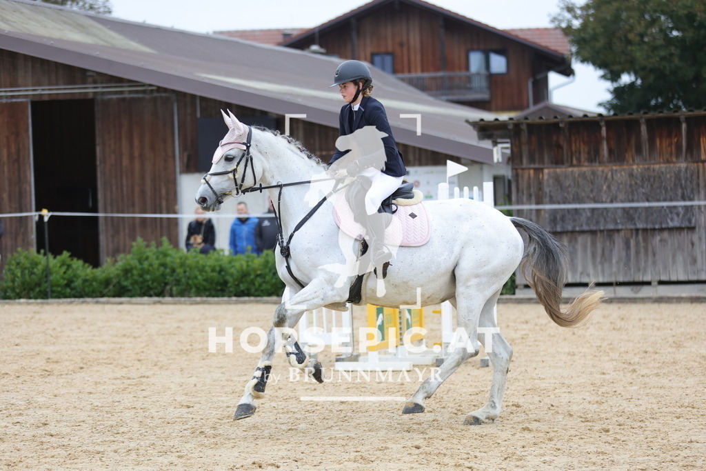 0P6A1294 | Willkommen bei Brunnmayr - Design & Fotografie – Ihrem Spezialisten für Reitturniere und Pferdeveranstaltungen in Oberösterreich, Salzburg und Bayern! Seit über 17 Jahren sind wir leidenschaftlich dabei.
