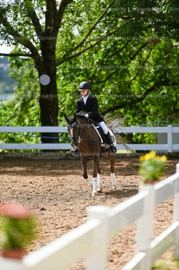 20230716_10-3_Reiter-WB Schritt - Trab - Galopp_0079 | equistock