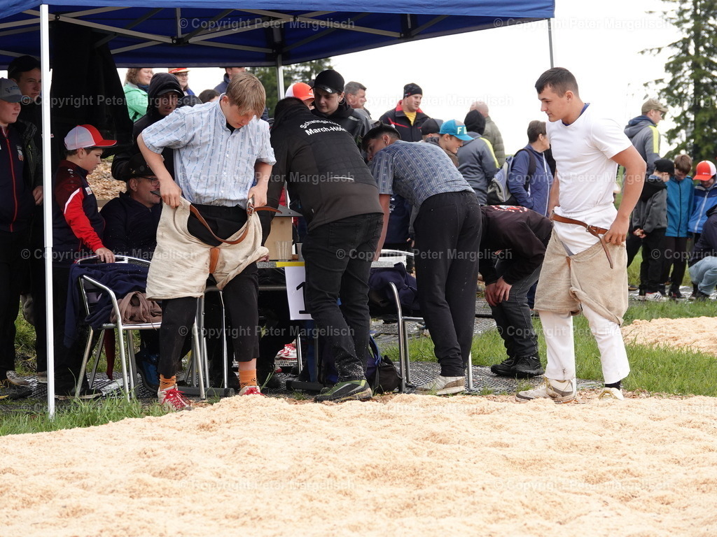 DSC07828 | Schwingen - Realisiert mit Pictrs.com