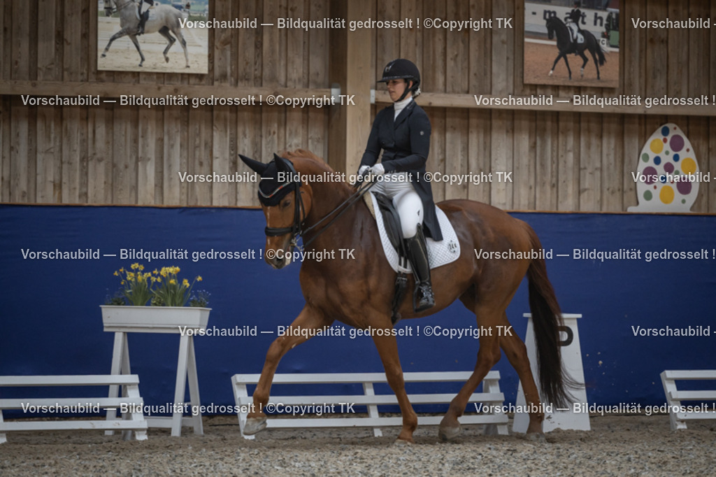 _D5A0748 | Emotionale Pferde- & People-Fotografie rund um Heidelberg, Leimen & Umgebung. Natürliche Fotos von Pferd, Mensch & Familie. Jetzt Termin sichern!