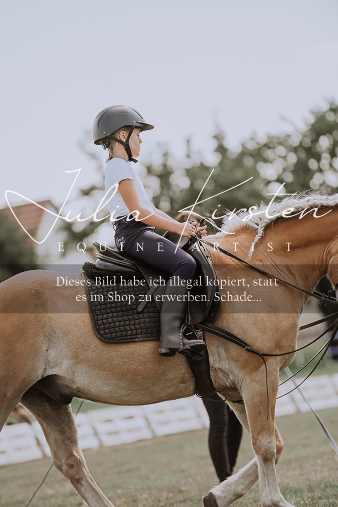 DSC_7704 | Pferde- und Turnierfotografie in Westsachsen. Pferdeportraits, Auftragszeichnungen und intuitive Kunst.