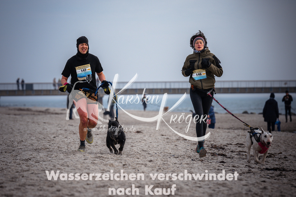 1056_ZZ96689 | kk-dogfotos