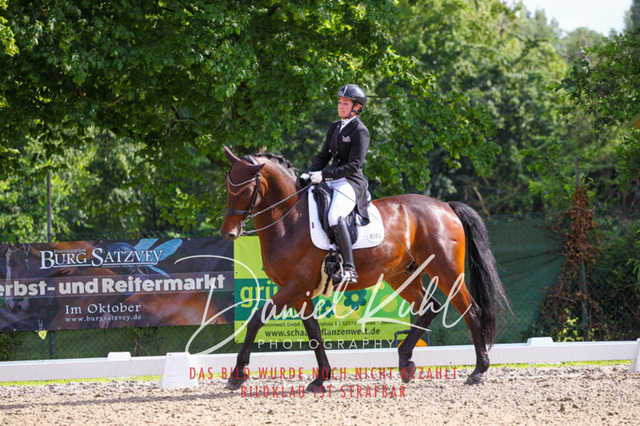 DKP41500 | Turnierfotos kaufen im Webshop von Daniel Kuhl Photography – entdecke professionelle Reitsportfotos aus Turnieren & Events. Hochwertige Turnierbilder online bestellen & sichern. Jetzt Fotos von Reitsportturnieren kaufen!