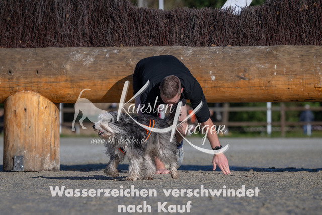 1049-_ZZ92872 | kk-dogfotos