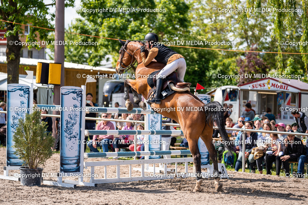 Eppelheim Tag 3-322 | dv-media-shop - Realisiert mit Pictrs.com