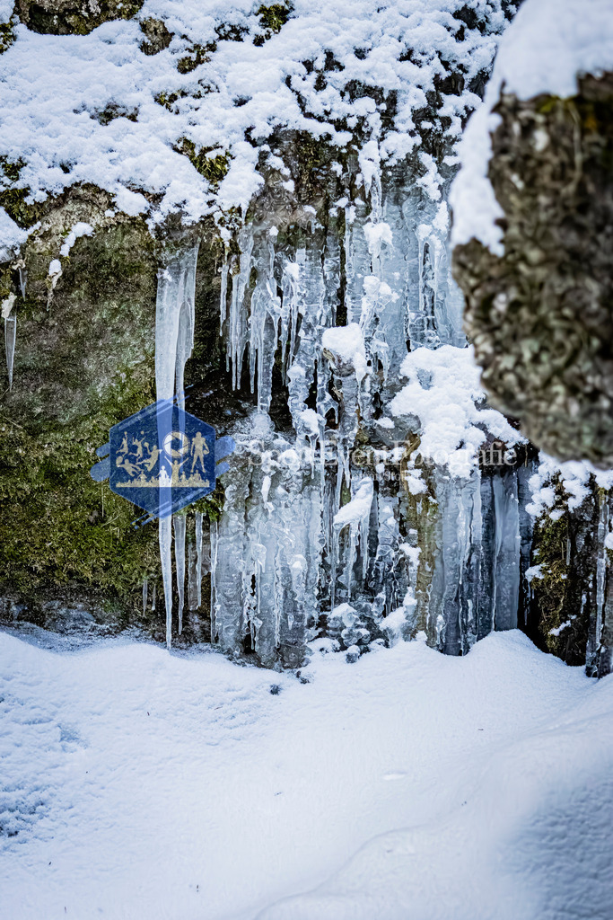 IMAG7702 | SportEventFotografie - Roman Stoiber