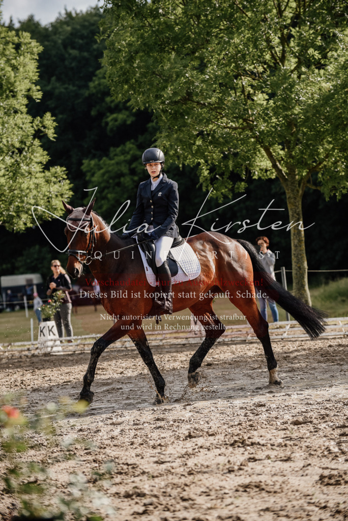 DSC_8629 | Pferde- und Turnierfotografie in Westsachsen. Pferdeportraits, Auftragszeichnungen und intuitive Kunst.