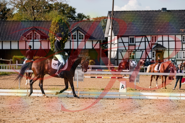 2026_10_03_Siefer-Hof_125533_Z63_61988398 | Professionelle Reitsport-, Turnier- und Eventfotografie von Robert Broda. Galerien mit ausgewählten und bearbeiteten Bildern direkt online ansehen und bestellen.