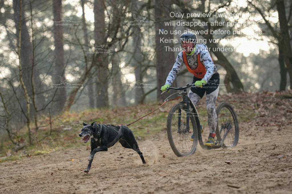 Scooter1-167 | stephaniefillaphotographie - Realisiert mit Pictrs.com