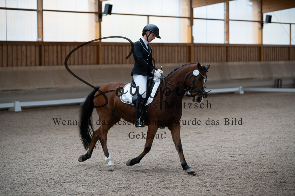 A7V02492 | Pferdefotograf