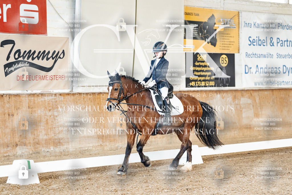 CK900504 | Turnierfotografie Pferdefotografie Trier Rheinland-Pfalz Pferdesport Reitsport Tierfotografie Sportfotografie Pferdevideo Pferdevideografie Equestrianvideography equestrianphotography  - Realized with Pictrs.com