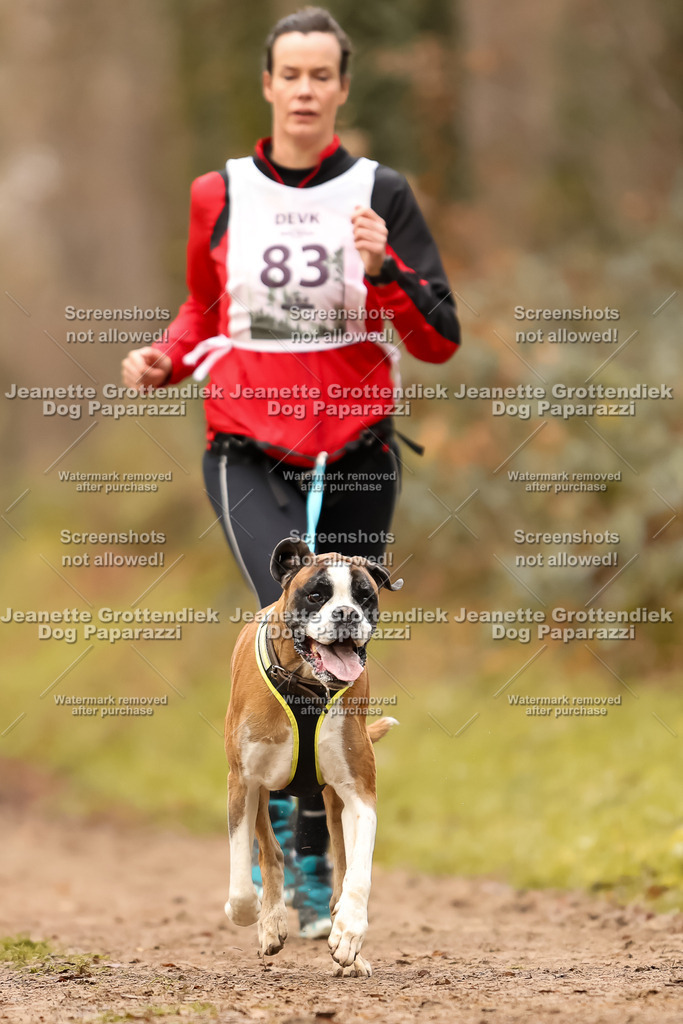 Dog Paparazzi - Speedhunter Mannheim  2025-238 | Dog Paparazzi Jeanette Grottendiek Fotografie & Videografie